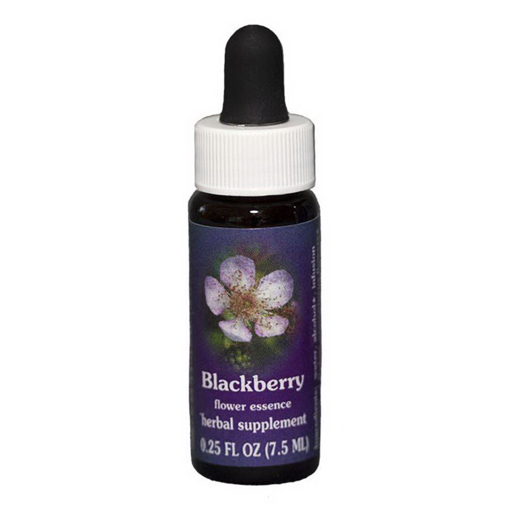 Flower Essence Blackberry Herbal Supplement Dropper, 0.25 Oz